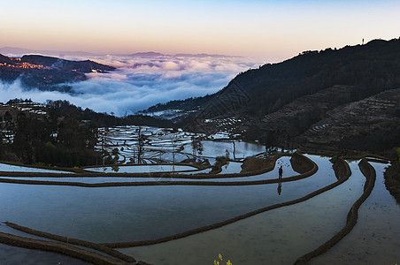 春天的旋律背景图片