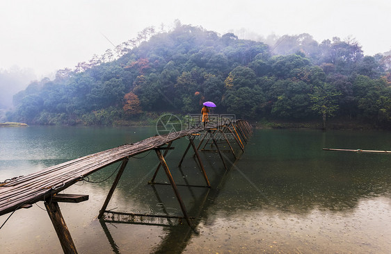 秋雨图片