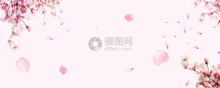 花瓣简约文艺粉banner图片