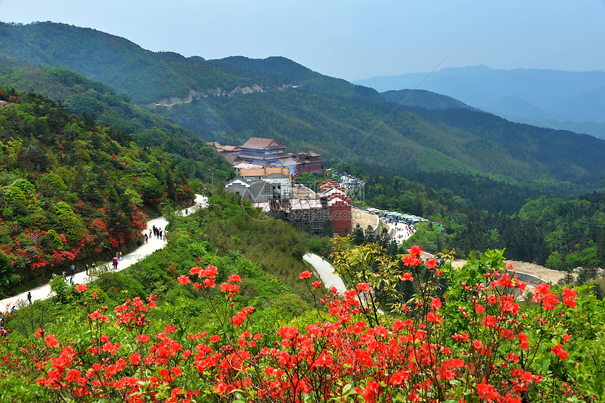 春天阳明山美景图片