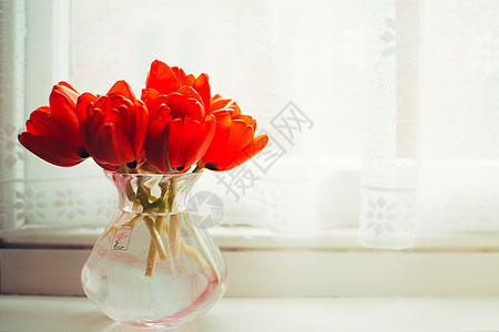 窗台上的花瓶图片