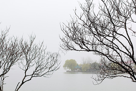 桃红柳绿烟雨江南背景