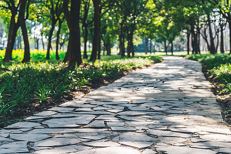 春天公园里的小路背景图片