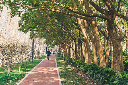 自行车冲刺公园塑胶跑道背景