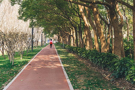 自行车冲刺公园塑胶跑道背景