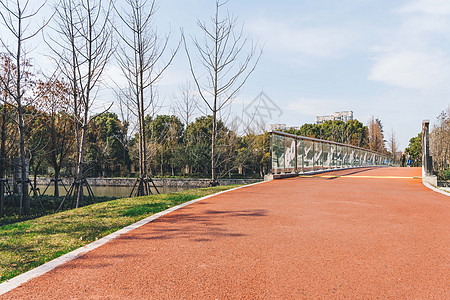 自行车冲刺公园塑胶跑道背景