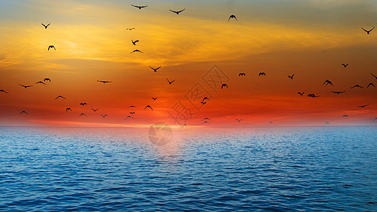 鸟海夕阳的海设计图片