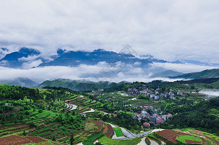 温州茗岙图片