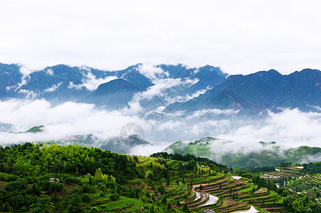 温州茗岙背景