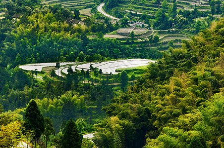 龙脊梯田温州茗岙梯田背景