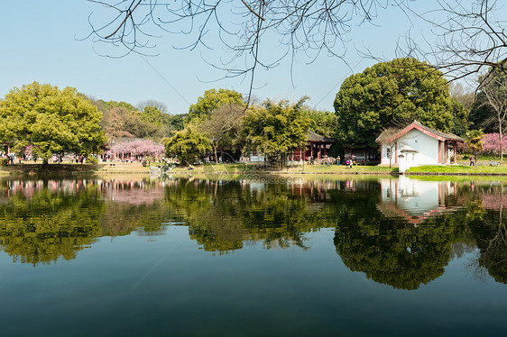 东湖春天景色