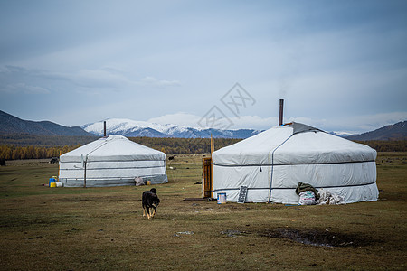辽阔大草原上的蒙古包背景图片