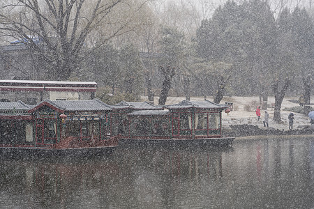 春雪图片