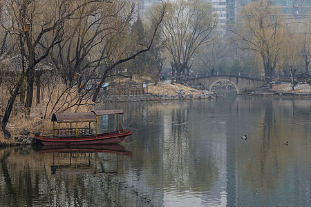 春雪图片