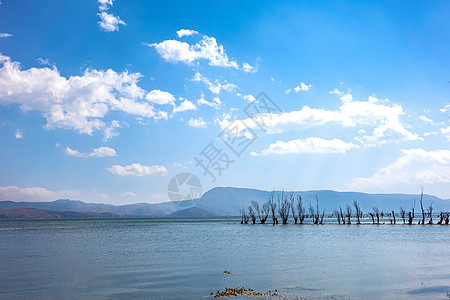 大理海舌生态公园风景云南大理海舌生态公园背景