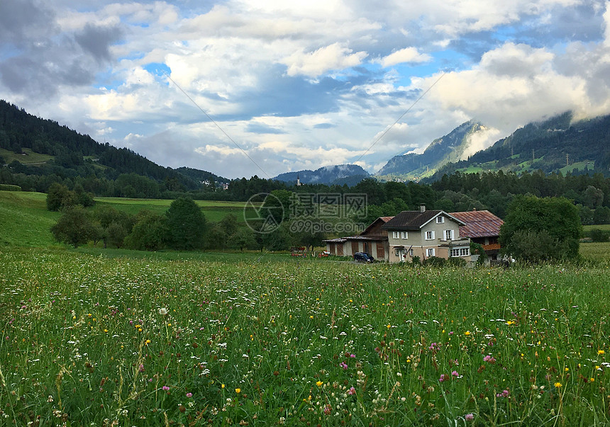 瑞士阿尔卑斯山区的田园风光图片