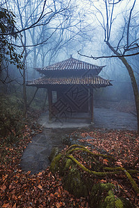 田园风景幽静庭院背景