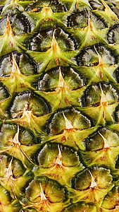 菠萝的纹理图片