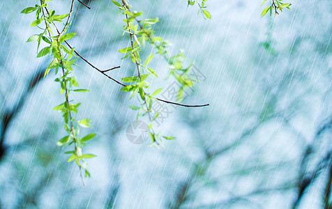节日节气春天雨水设计图片