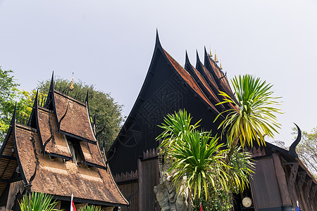 泰国清迈黑庙博物馆高清图片