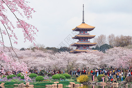 庐山风景武汉东湖樱园背景