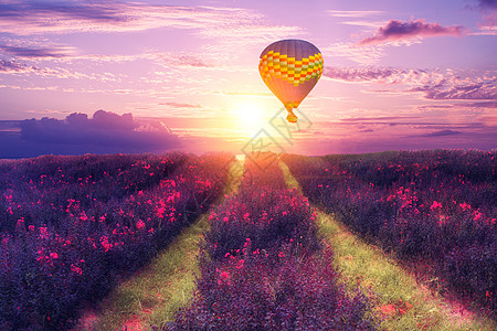 旷野花海热气球背景设计图片