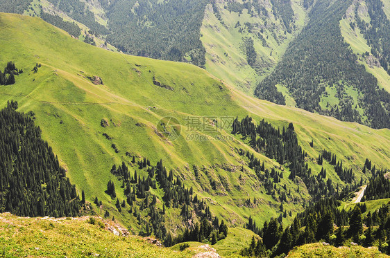 新疆天山山脉草地森林图片