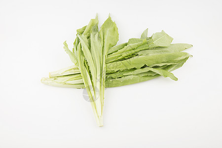 油麦菜绿色蔬菜背景图片
