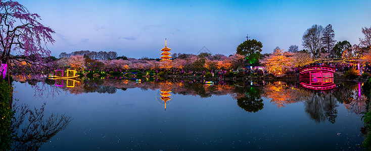 塔夜景武汉东湖樱花园背景