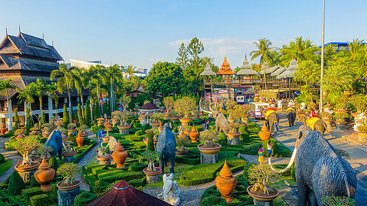 泰国大象泰国芭提雅东芭乐园背景
