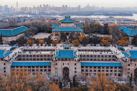 花期武汉大学老建筑群背景