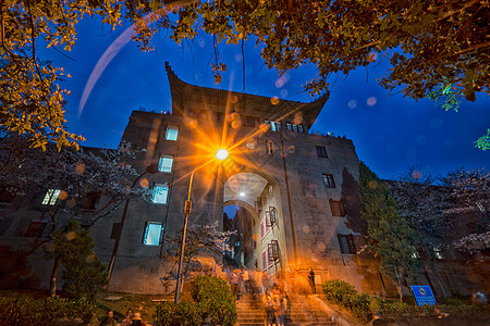 学校大道武汉大学樱花夜景背景