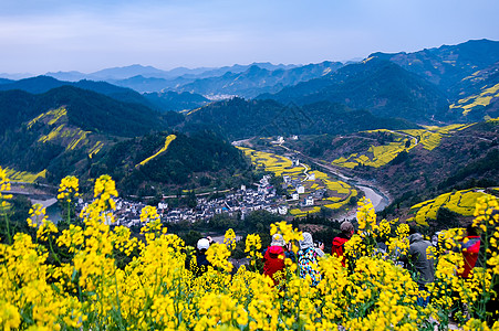 油菜花背景安徽石潭村的晨曦背景