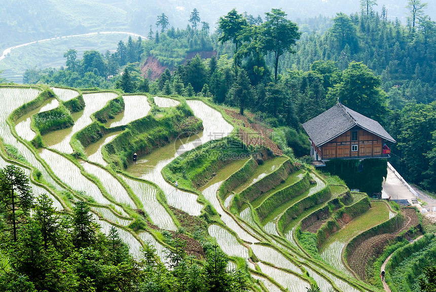 湖南紫鹊界梯田风景图片