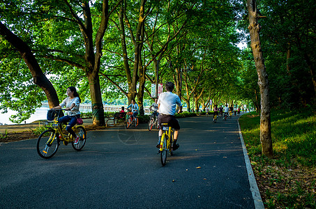 慢跑道武汉东湖绿道美景背景