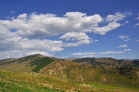 新疆喀纳斯景区春季美景背景图片