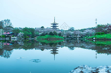 日本建筑樱园背景