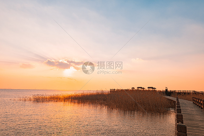 崇明西沙湿地图片