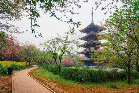 武汉东湖樱园日式塔高清图片