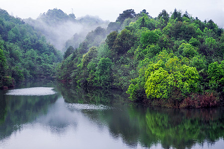 田园山水山水红树村高清图片