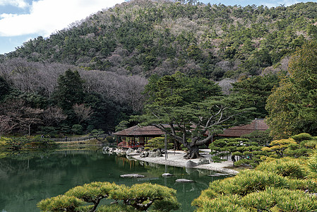 日本花园园林景观背景