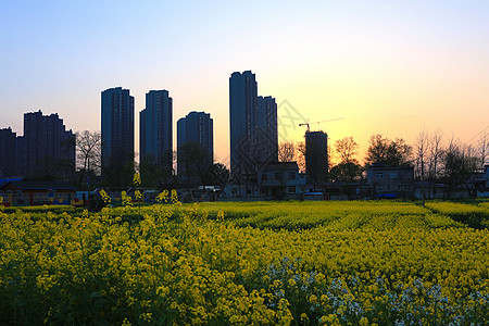 春光明媚背景图片