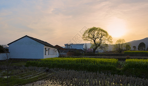 江南田园风光春光明媚背景