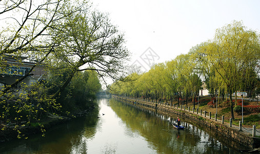 春光明媚背景图片