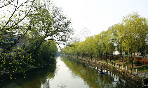 春光明媚背景图片