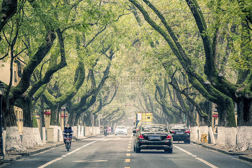 南京的马路图片