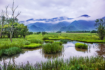 官门山神农架大九湖的清晨背景