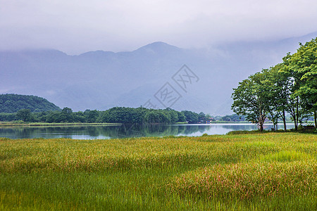 官门山湖边青青草地背景