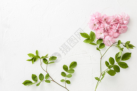 桌面上的春日樱花平铺造型背景图片