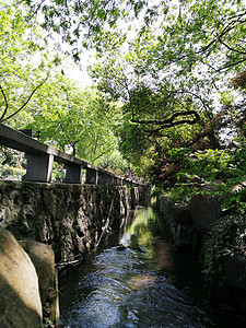 西湖雷峰塔图片